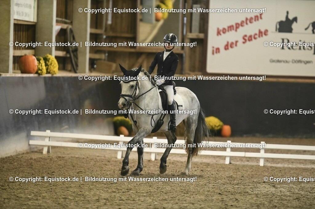 20231029_02_Reiter-WB_Schritt-Trab-Galopp_Abteilung-02_0053 | Foto: Thomas Hartig