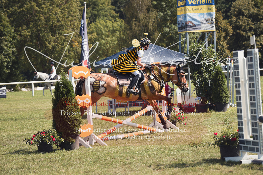 DSC_0285 | Pferde- und Turnierfotografie in Westsachsen. Pferdeportraits, Auftragszeichnungen und intuitive Kunst.