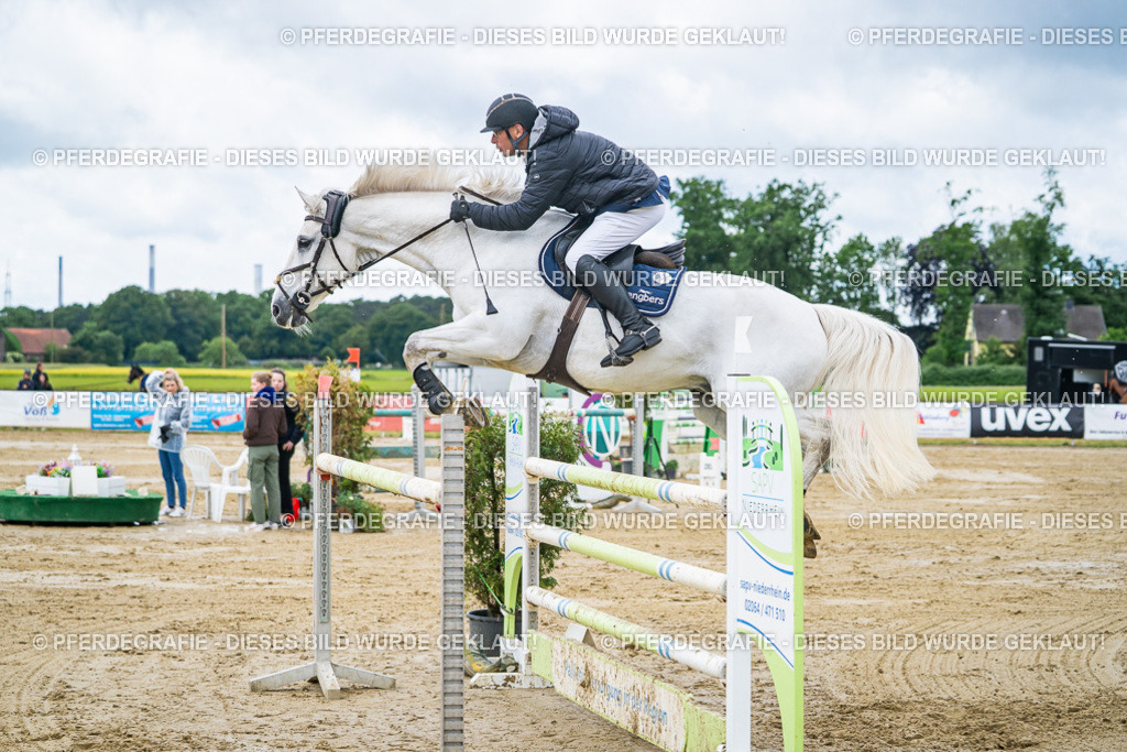 DSC04641 | Pferdegrafie