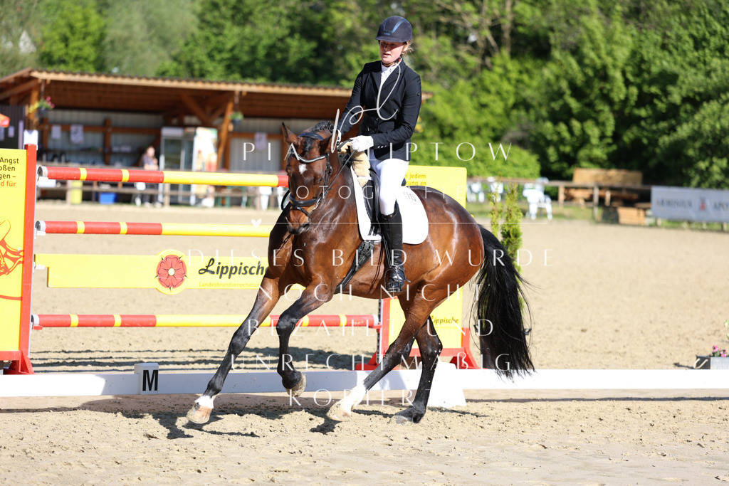 IMGT9885 | pl-fotografie