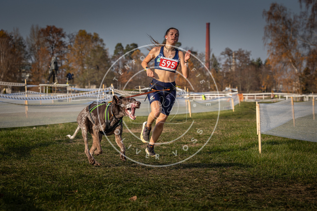CaniXpix_0L8A9862 | Hundefotografie, Tierfotograf, Pfotenfotografie, Fotoshooting Hund, Hunde Portrait, Hundesport, Hundeportraits, Heideshooting, Hunde, Sportfotograf, Hundefotograf, Turnierhundsport, THS,  - Realisiert mit Pictrs.com