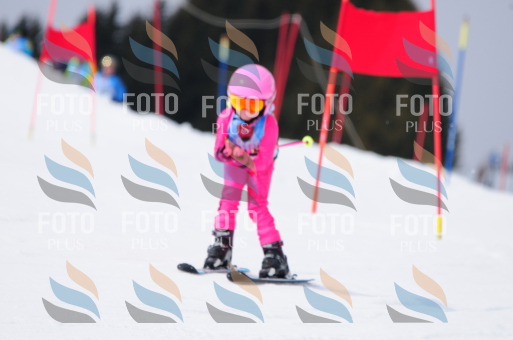 A3812 | holidayphoto