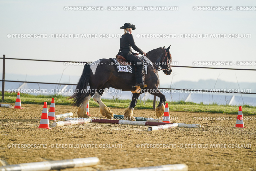 DSC09929 | Pferdegrafie