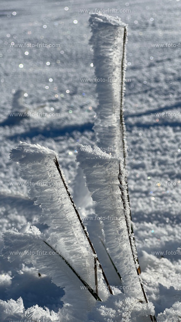 IMG_E6742 | www.foto-fritz.com - Realisiert mit Pictrs.com