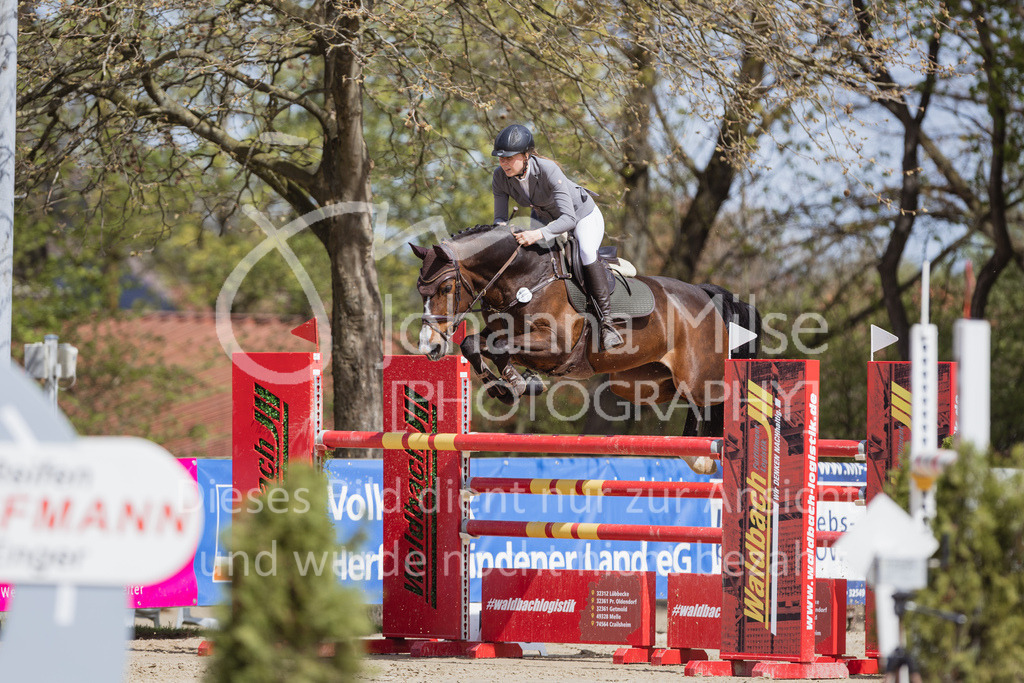 230501_SpengeW_M2St-238 | Deine schönsten Turniermomente als professionelle Fotos! Entdecke hochwertige Pferdesport-Fotografie im Online-Shop. Jetzt Fotos finden & bestellen!