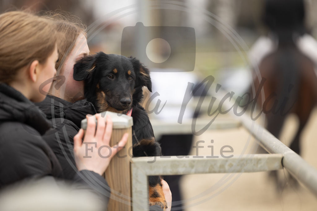 994A8591 | sabrinanicolaifotografie - Realisiert mit Pictrs.com