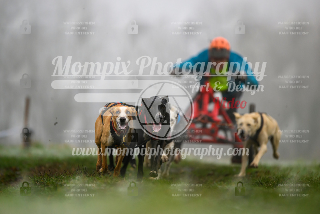 MompixPhotography_CDF2023_FFST_Di_Kart-52 | PayLife