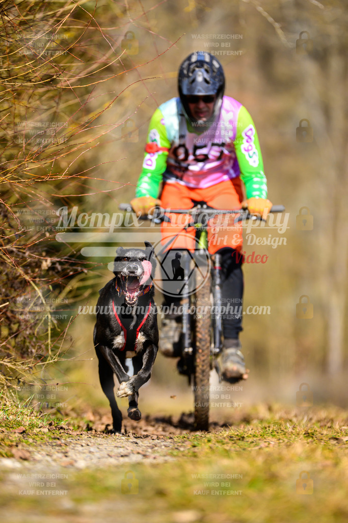 MompixPhotography_Schwabentrail2025_SO_Bike-97 | PayLife