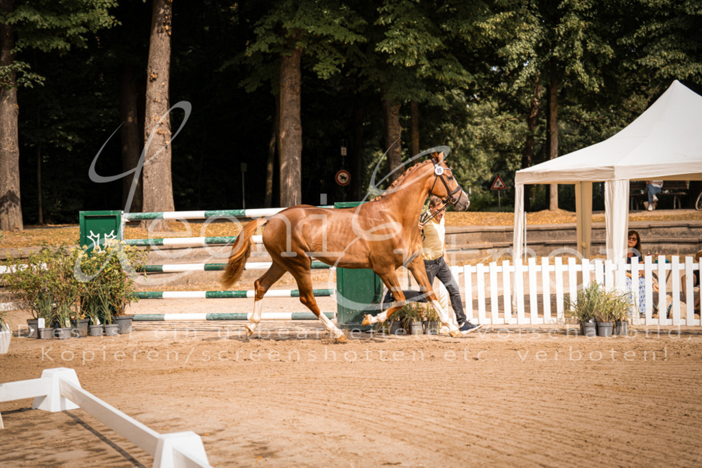 FrER00080 | Leoni Ertmer Photography - Realisiert mit Pictrs.com