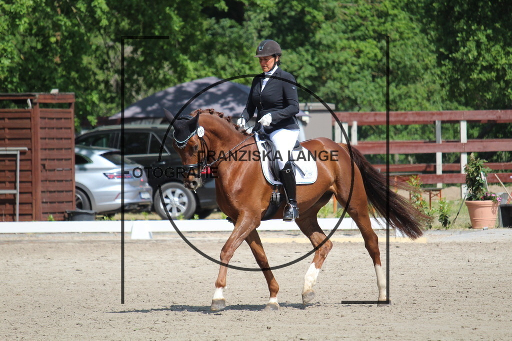 IMG_3584 | franziskalange - Realisiert mit Pictrs.com