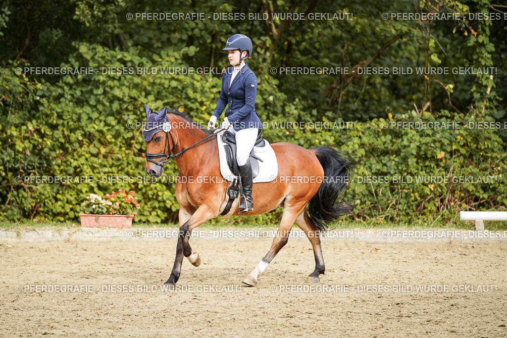 DSC00428 | Pferdegrafie