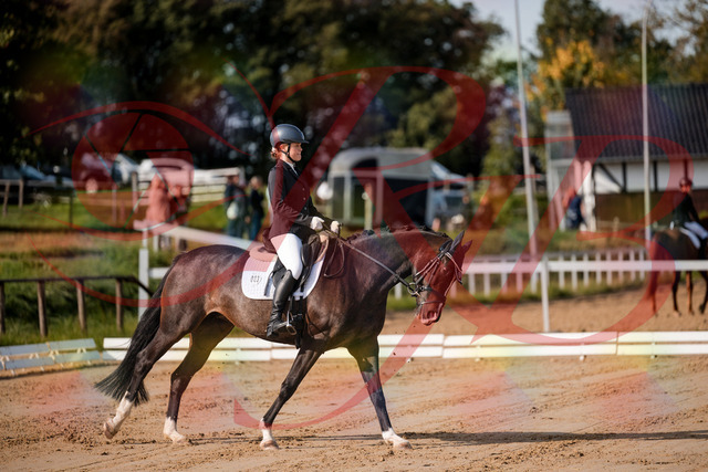 2026_10_03_Siefer-Hof_113523_Z63_21214377 | Professionelle Reitsport-, Turnier- und Eventfotografie von Robert Broda. Galerien mit ausgewählten und bearbeiteten Bildern direkt online ansehen und bestellen.