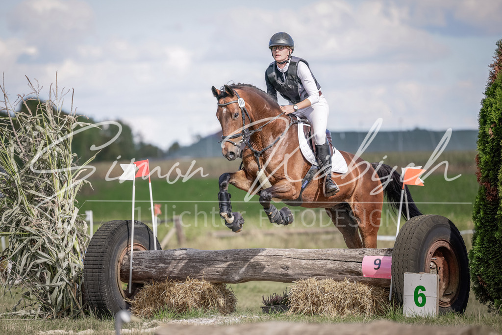 20250906-_3LI6932 | Tierfotografie Pferde, Hunde, Katzen, Haustiere.
Turnierfotografie Reitturniere, Reiten, Springreiten, Dressur in Hanau, dem Main-Kinzig-Kreis und dem Rhein-Main- Gebiet um Frankfurt