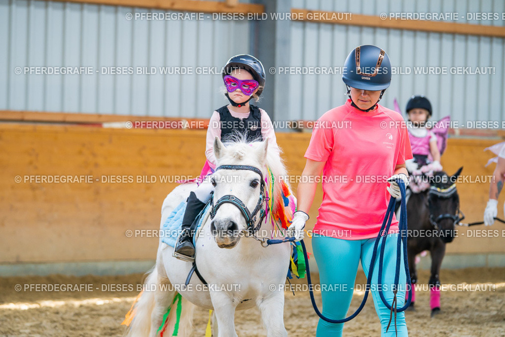 DSC09857 | Pferdegrafie