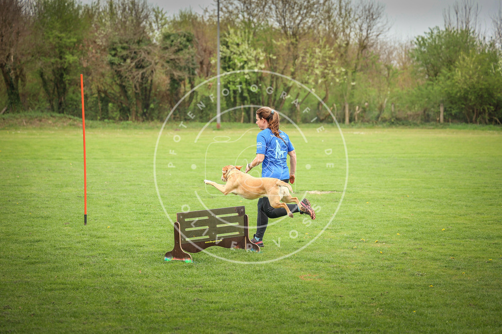 Pfotenfotografie_0L8A9579 | Hundefotografie, Tierfotograf, Pfotenfotografie, Fotoshooting Hund, Hunde Portrait, Hundesport, Hundeportraits, Heideshooting, Hunde, Sportfotograf, Hundefotograf, Turnierhundsport, THS,  - Realisiert mit Pictrs.com
