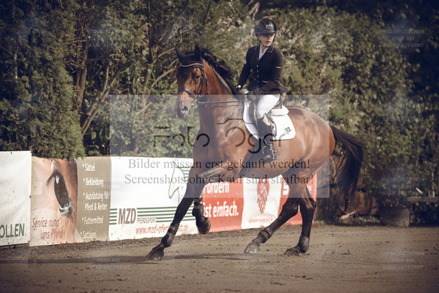 20240531-DOS_9030 | Entdecke hochwertige Reitturnierfotos von Foto Oger. Professionell, emotional und authentisch – jetzt Lieblingsmomente im Shop bestellen. - Realized with Pictrs.com