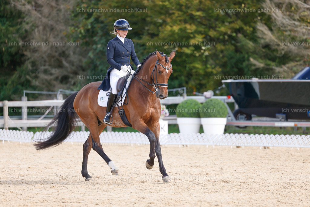 09_2-001-DRESSUR  S_  -StoibPH-5816 | working equitationturnier fotograf videograf stoibphotography marixx film working equitation deutschland reitsport turnierfotografie eventfotografie equestrian events