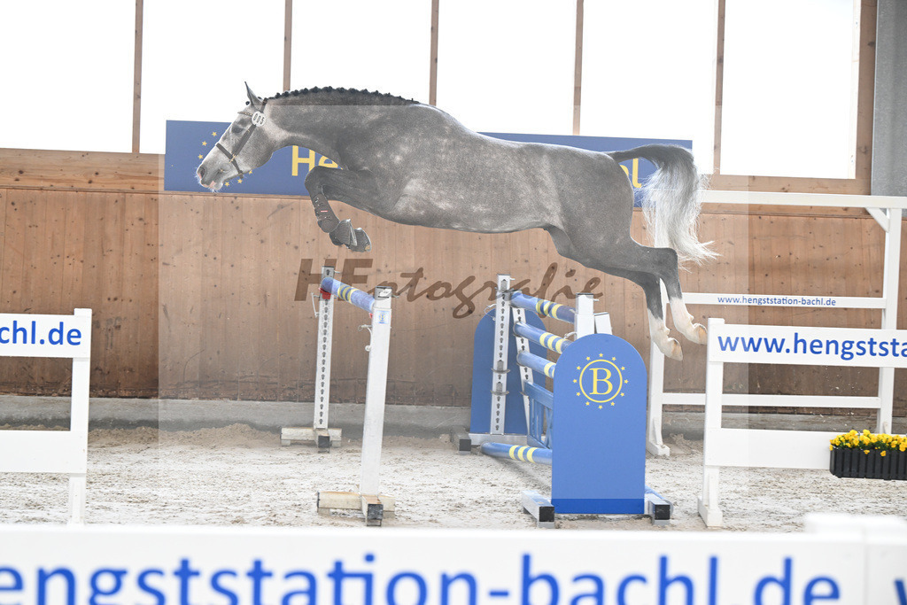 Kat-Nr. 5 Ziroccos Blanc v. Zirocco Blue_Engelbrecht_14260429 | hf-fotografie - Realisiert mit Pictrs.com