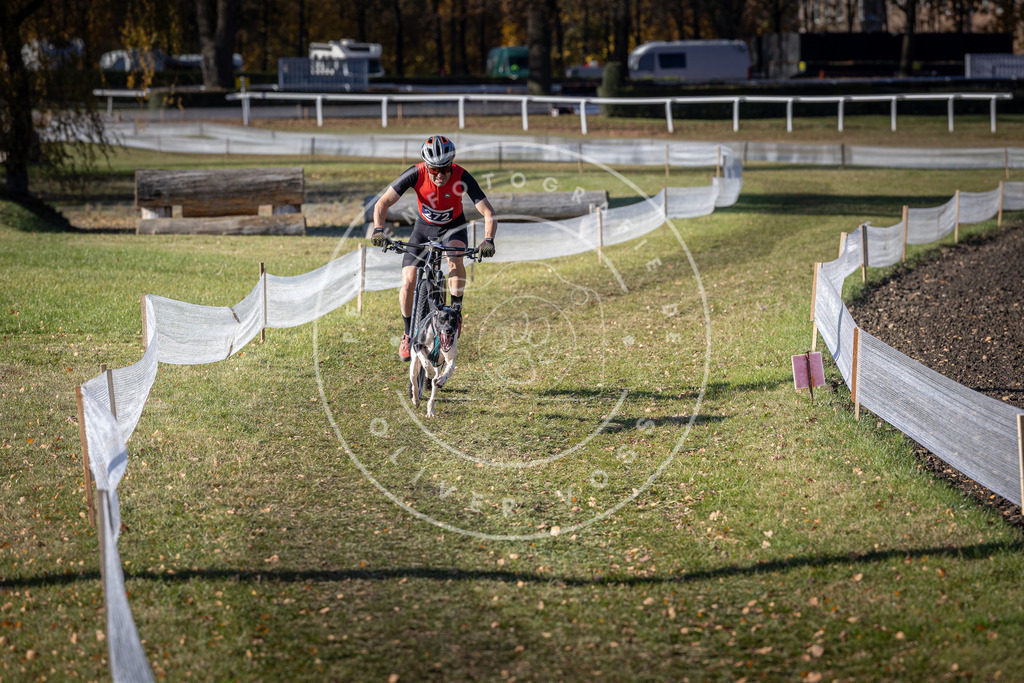 CaniXpix_DV3A5221 | Hundefotografie, Tierfotograf, Pfotenfotografie, Fotoshooting Hund, Hunde Portrait, Hundesport, Hundeportraits, Heideshooting, Hunde, Sportfotograf, Hundefotograf, Turnierhundsport, THS,  - Realisiert mit Pictrs.com