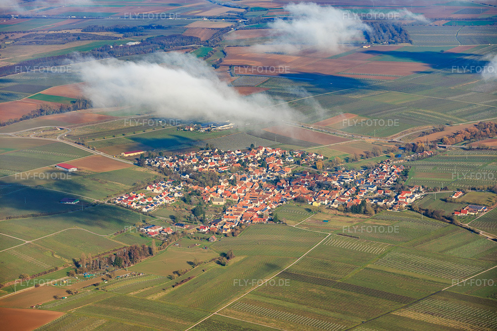 Luftbild: Ortsansicht von Südwesten unter Wolken in Impflingen im Bundesland Rheinland-Pfalz in Deutschland. Foto: IMG_153148.jpg vom 25.02.2026 durch Werner Riehm/FLY-FOTO.de