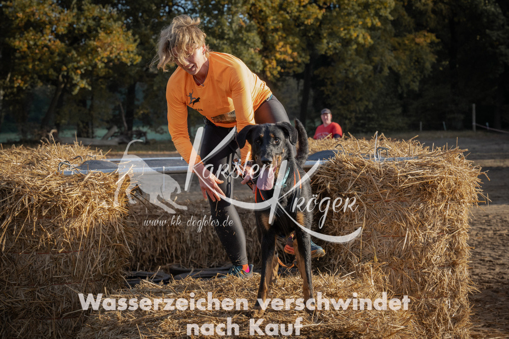 0951_ZZ95143 | kk-dogfotos