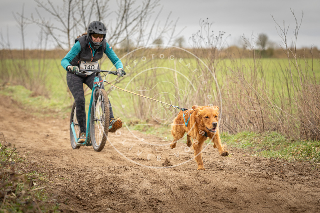 DV3A1456 | Hundefotografie, Tierfotograf, Pfotenfotografie, Fotoshooting Hund, Hunde Portrait, Hundesport, Hundeportraits, Heideshooting, Hunde, Sportfotograf, Hundefotograf, Turnierhundsport, THS,  - Realisiert mit Pictrs.com