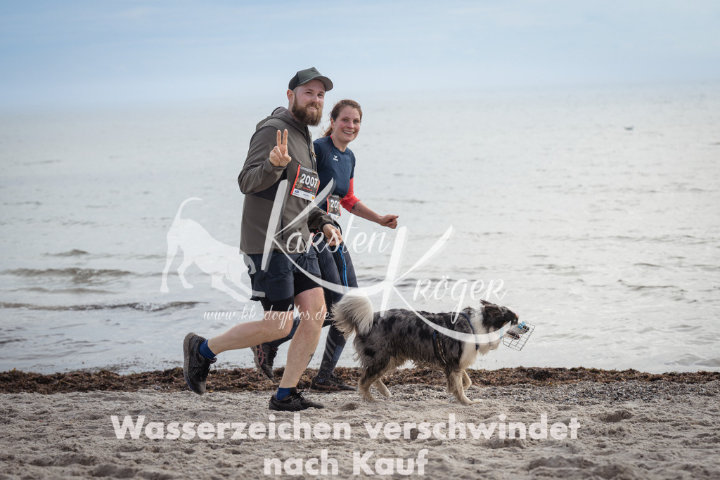 1156_ZZ92787 | kk-dogfotos