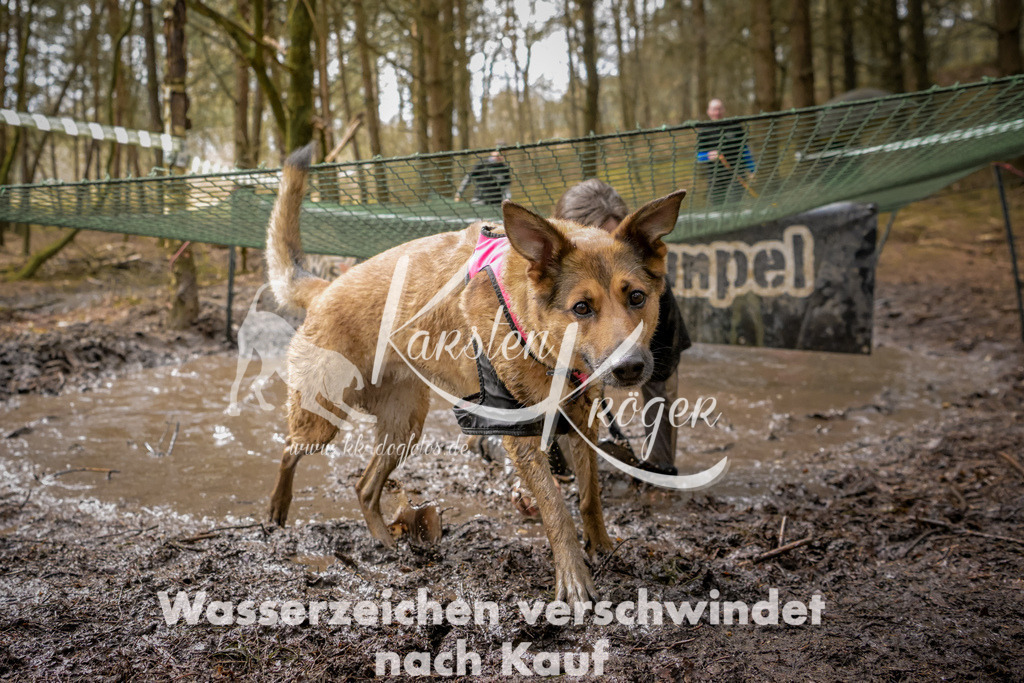 1048_ZZ92100 | kk-dogfotos