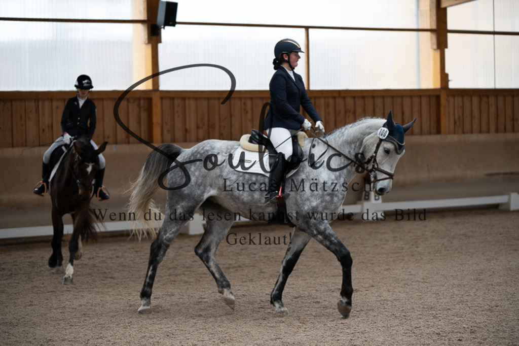 A7V02552 | Pferdefotograf