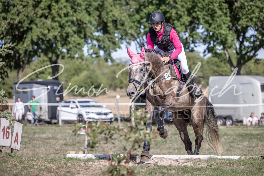 20260906-_3LI2547 | Tierfotografie Pferde, Hunde, Katzen, Haustiere.
Turnierfotografie Reitturniere, Reiten, Springreiten, Dressur in Hanau, dem Main-Kinzig-Kreis und dem Rhein-Main- Gebiet um Frankfurt