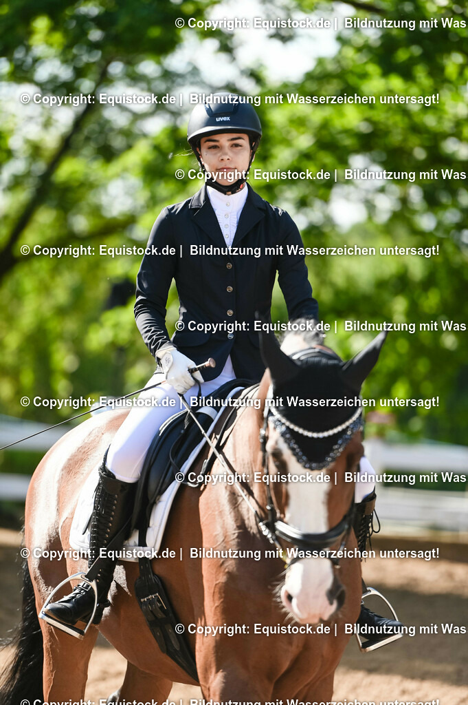 20230716_04_Dressurreiterprüfung Kl.A_0145 | equistock