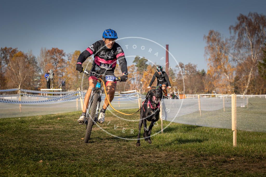 CaniXpix_0L8A7821 | Hundefotografie, Tierfotograf, Pfotenfotografie, Fotoshooting Hund, Hunde Portrait, Hundesport, Hundeportraits, Heideshooting, Hunde, Sportfotograf, Hundefotograf, Turnierhundsport, THS,  - Realisiert mit Pictrs.com