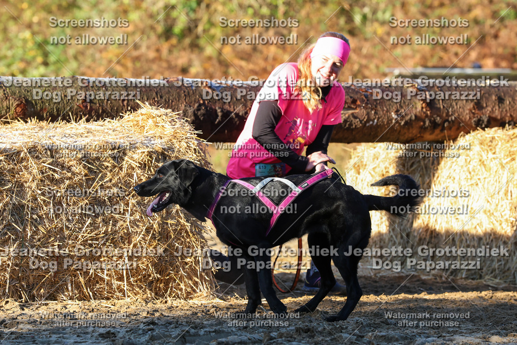 Dog Paparazzi - Strongdog 10-25-843 | Dog Paparazzi Jeanette Grottendiek Fotografie & Videografie - Realisiert mit Pictrs.com