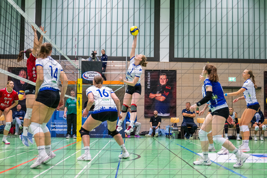 2. VBLF Nord 25/26 | Spiel 4017 | VC Osnabrück vs. Potsdam II | LAND Rebecca (VC Osnabrück e.V. #1) //  25.10.25: 2. VBLF Nord 25/26 | Spiel 4017 | VC Osnabrück vs. Potsdam II / Osnabrück / Deutschland  //   CREDIT:www.bullenfotos.de, Martin König, Hörner Weg 40, D-49078 Osnabrück, +4917663732967 // Nutzung und Weitergabe nur zu den vereinbarten Zwecken. Presseanfragen an Ersteller. Alle Rechte beim Ersteller. Honorierung nach MFM. - Realisiert mit Pictrs.com