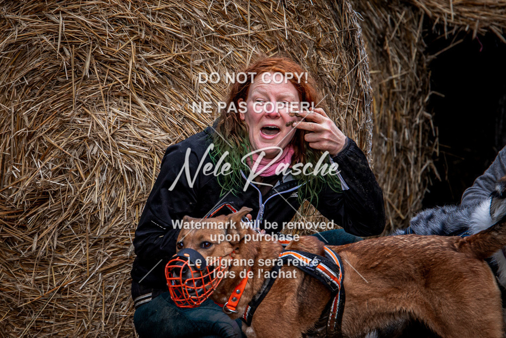 nelerasche_Hunsrück_So09-11_303 | nelerasche