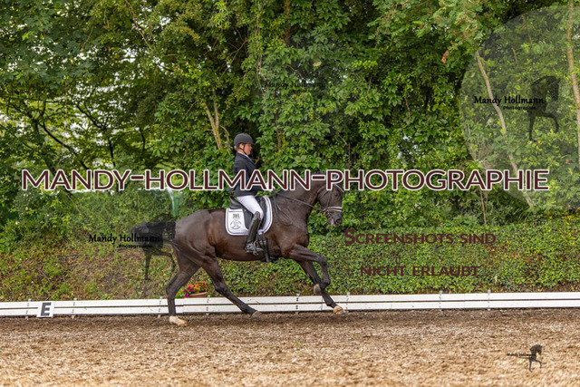 RPF 4 Filsum (186 von 535) | mandyhollmannphotographie