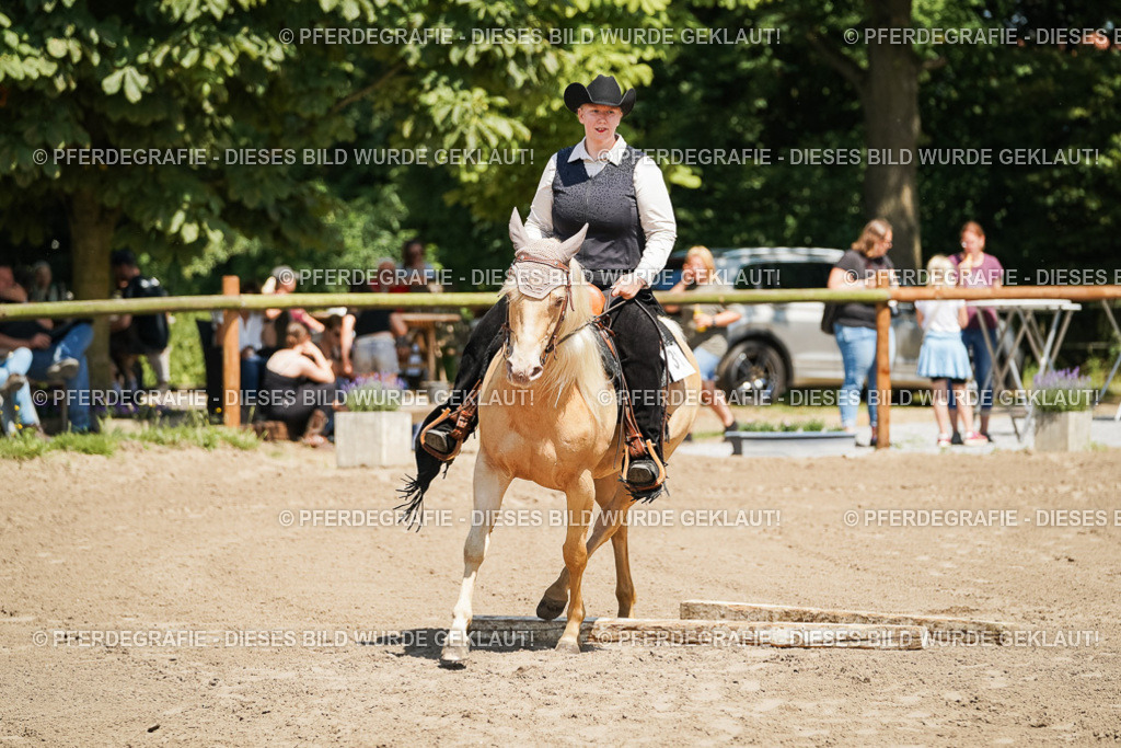 DSC06963 | Pferdegrafie