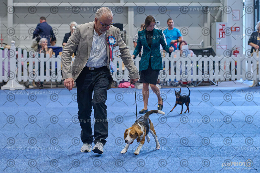 202406_ÖKV-IHA-Tulln24_DSC_4830 | proPHOTO - Realisiert mit Pictrs.com