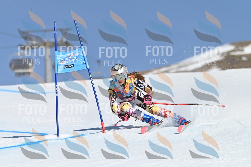 BGV_7837 | holidayphoto