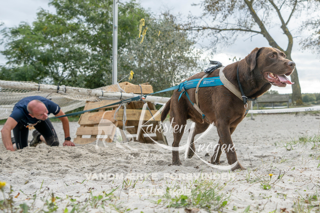 1522_ZZ94816 | kk-dogfotos