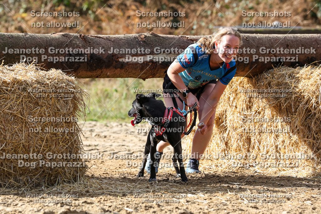 Dog Paparazzi - Strongdog 10-25-5404 | Dog Paparazzi Jeanette Grottendiek Fotografie & Videografie - Realisiert mit Pictrs.com