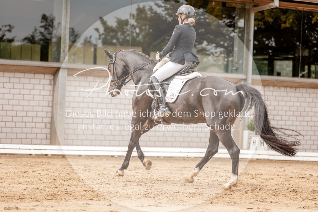 3I6A3674 | Stimmungsvolle Portraits und Reitsportfotografie im Ruhrgebiet und im Münsterland.

Pferdefotografie, Hundefotografie, Tierfotografie, Reportagen, Portraits von Tier und Mensch, Turnierfotografie in Bochum, Recklinghausen, Marl, Haltern am See, Dülmen.. - Realisiert mit Pictrs.com