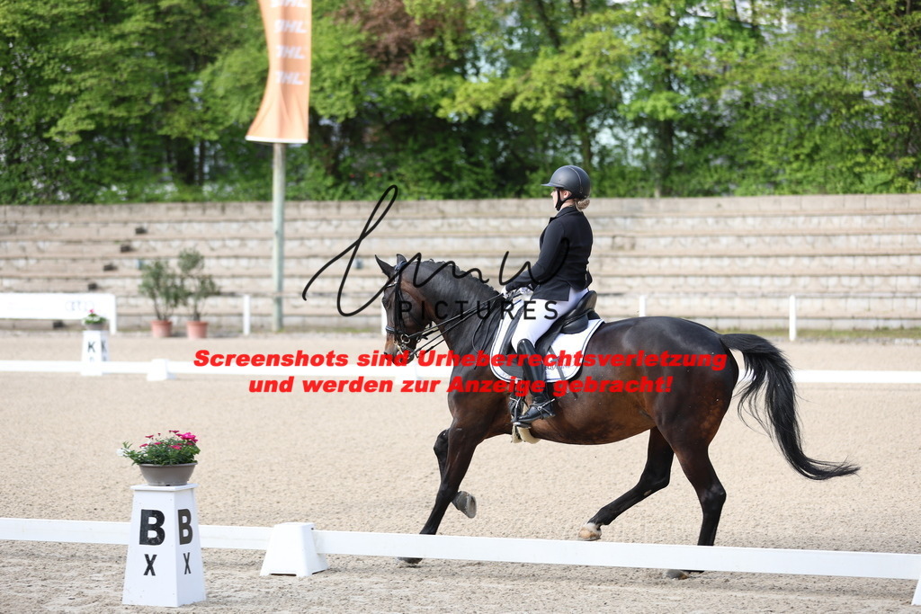 A40A3170 | lmwpictures - Realisiert mit Pictrs.com