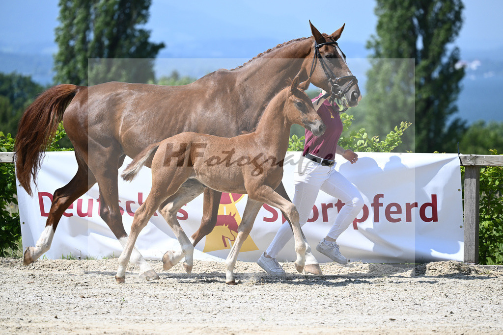 Kat-Nr. 8 HF DSP Feliciano_Niedermair_15230167 | hf-fotografie - Realizzato con Pictrs.com