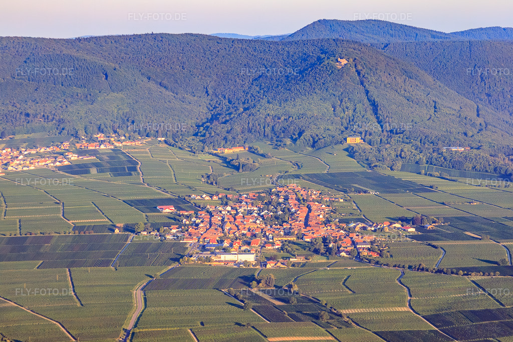 Luftbild: Winzerdorf von Osten Im Hintergrund Weyher und Die Rietburg am Haardtrand des Pfälzerwalds im Morgenlicht in Rhodt unter Rietburg im Bundesland Rheinland-Pfalz in Deutschland. Foto: IMG_44327.jpg vom 20.08.2011 durch Werner Riehm/FLY-FOTO.de