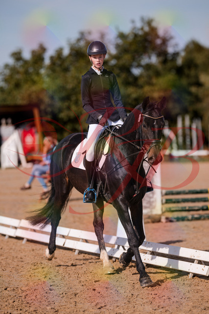 2026_10_03_Siefer-Hof_115422_Z81_93341476 | Professionelle Reitsport-, Turnier- und Eventfotografie von Robert Broda. Galerien mit ausgewählten und bearbeiteten Bildern direkt online ansehen und bestellen.