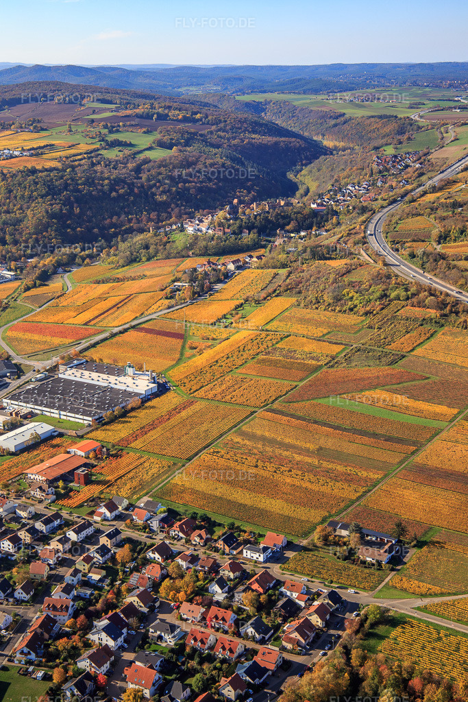 Luftbild: Ortsansicht von Osten vor der A6 zwischen herbstlich gefärbten Weinbergen in Neuleiningen im Bundesland Rheinland-Pfalz in Deutschland. Foto: IMG_123561.jpg vom 31.10.2020 durch Werner Riehm/FLY-FOTO.de