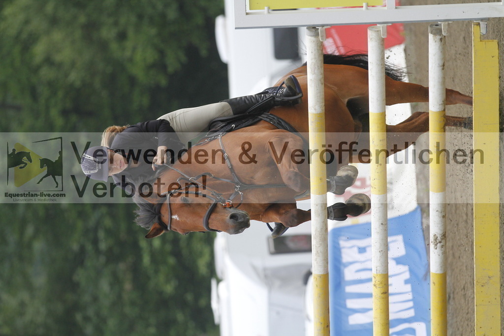 _MG_7022 | equestrian-live-com