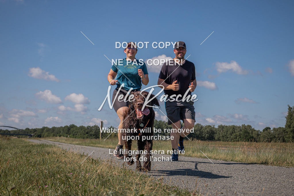 nelerasche_BuHu2026_SaCC10-11_15 | nelerasche