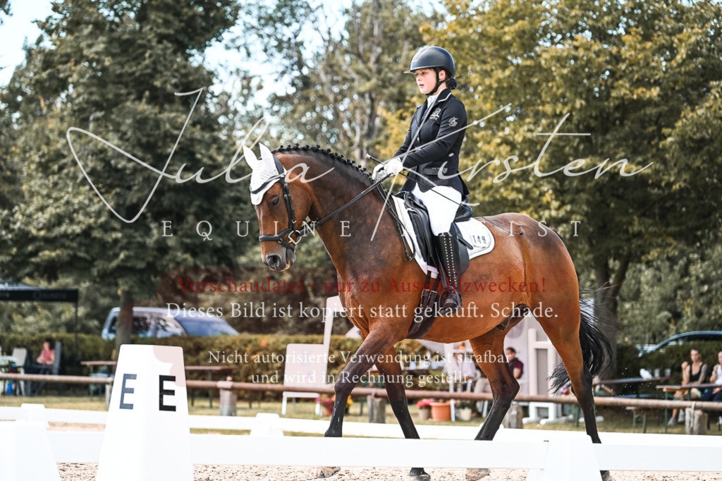 DSC_5650 | Pferde- und Turnierfotografie in Westsachsen. Pferdeportraits, Auftragszeichnungen und intuitive Kunst.